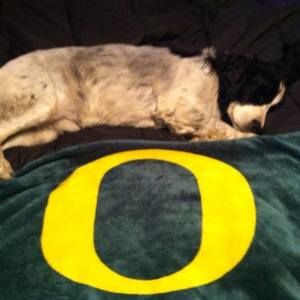 Meet your Posher, Shane